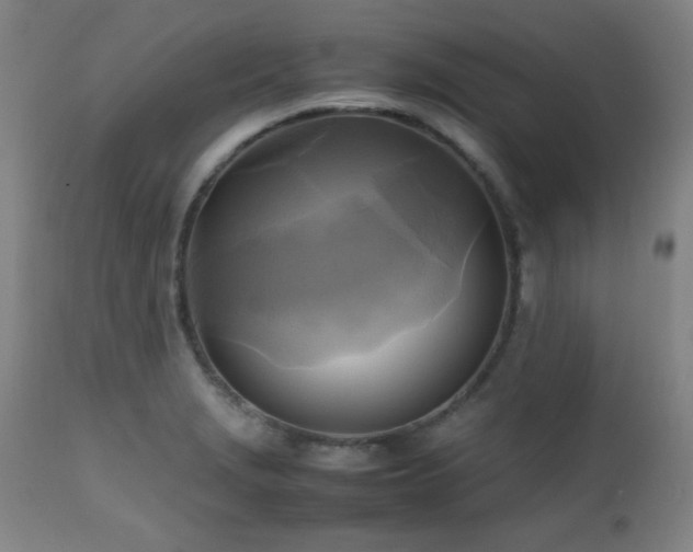 X0000112971229200908271133