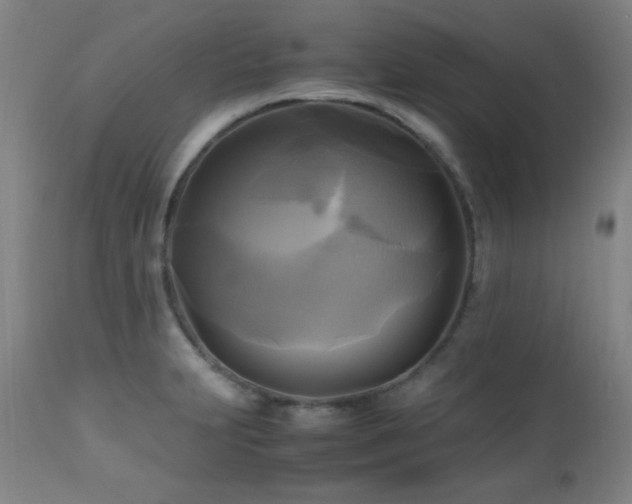 X0000112971231200908271134