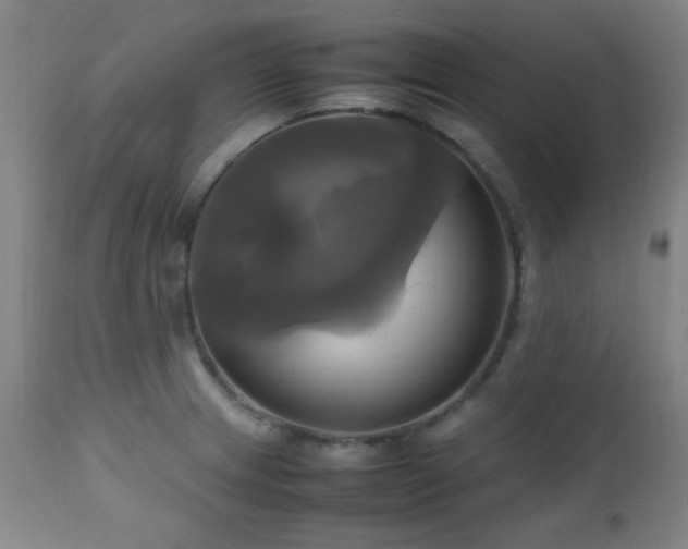 X0000112971233200908271134