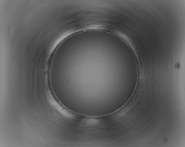 X0000112971235200908271134