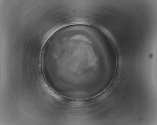 X0000112971236200908271134