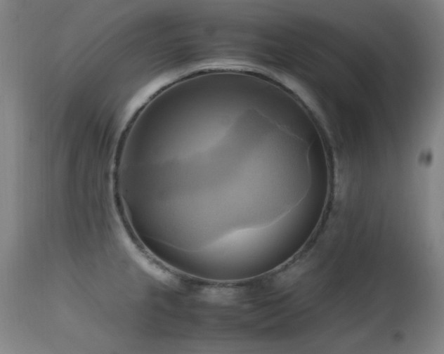 X0000112971237200908271134