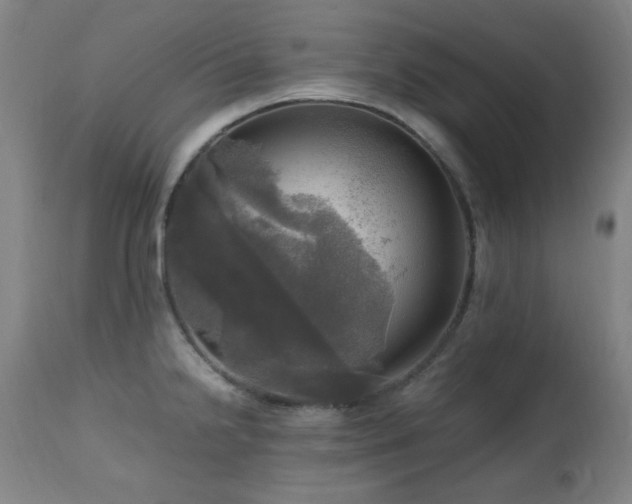 X0000112971238200908271134