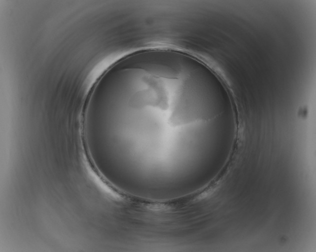 X0000112971239200908271134