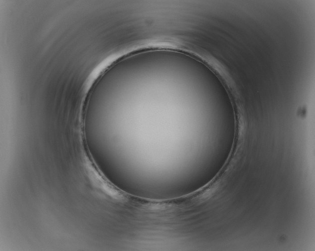 X0000112971240200908271134