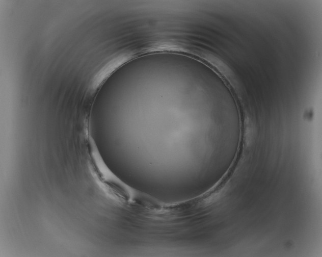 X0000112971241200908271134