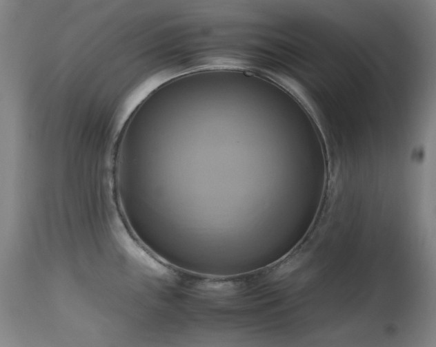 X0000112971243200908271134