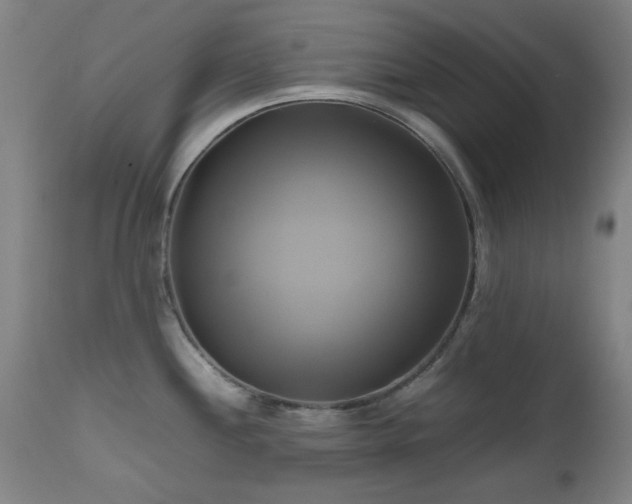 X0000112971244200908271134