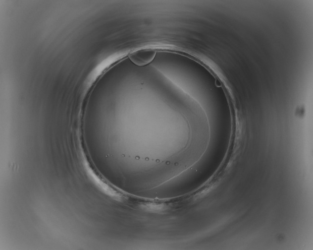 X0000112971245200908271134