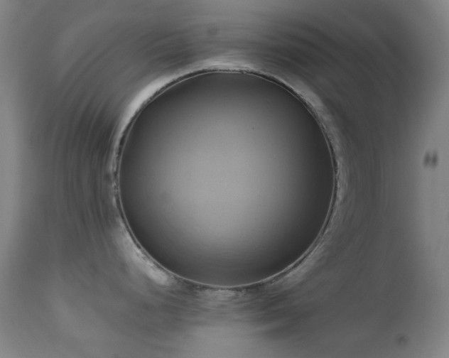 X0000112971248200908271134