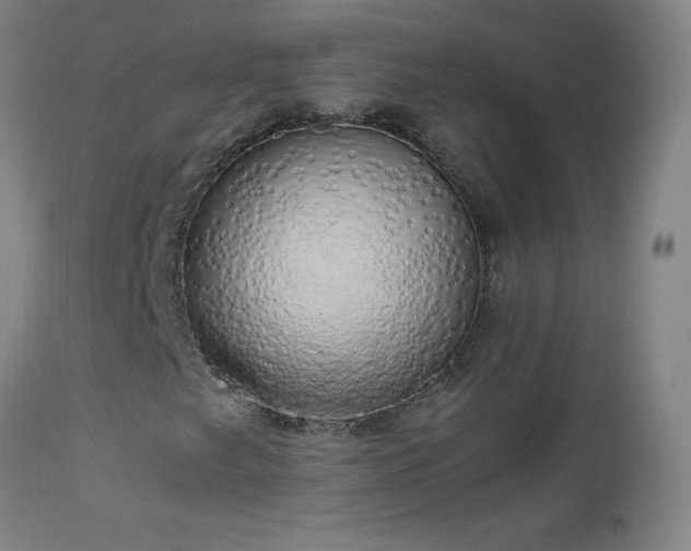 X0000112971249200908271133