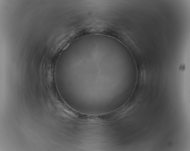 X0000112971250200908271133