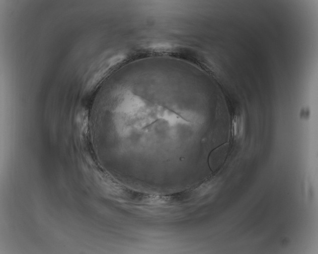 X0000112971251200908271133