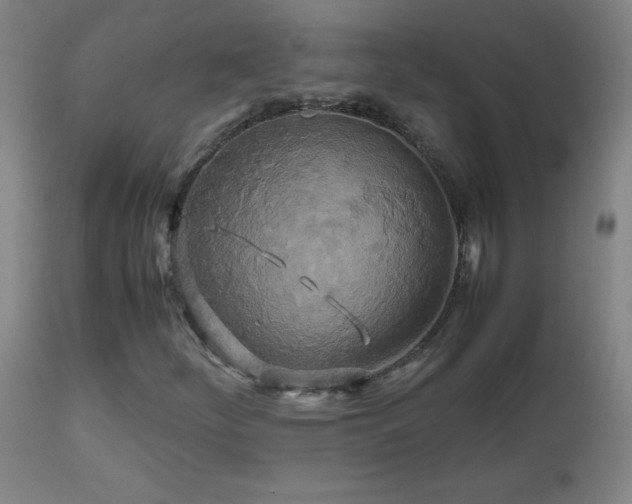 X0000112971252200908271133