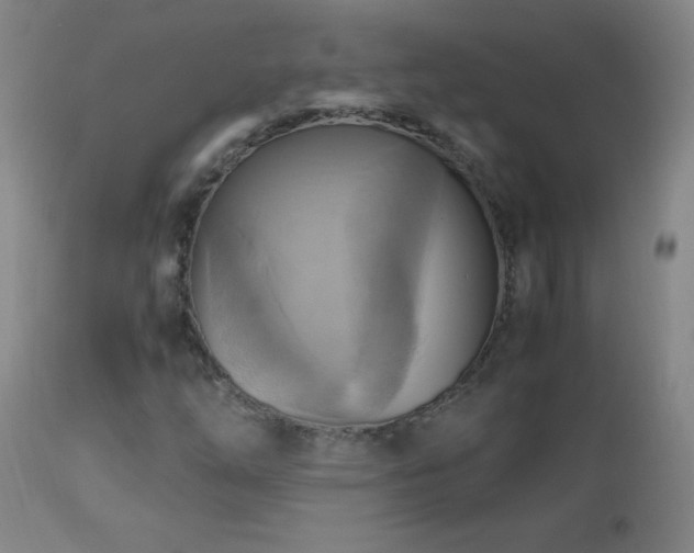 X0000112971254200908271133