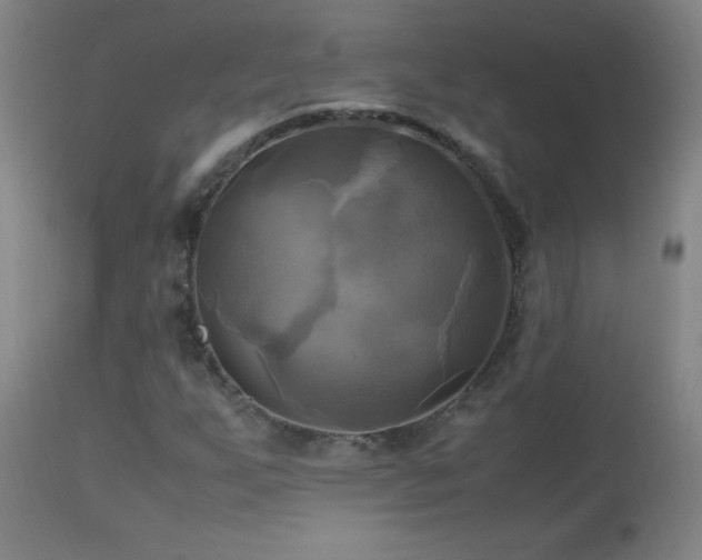 X0000112971255200908271133