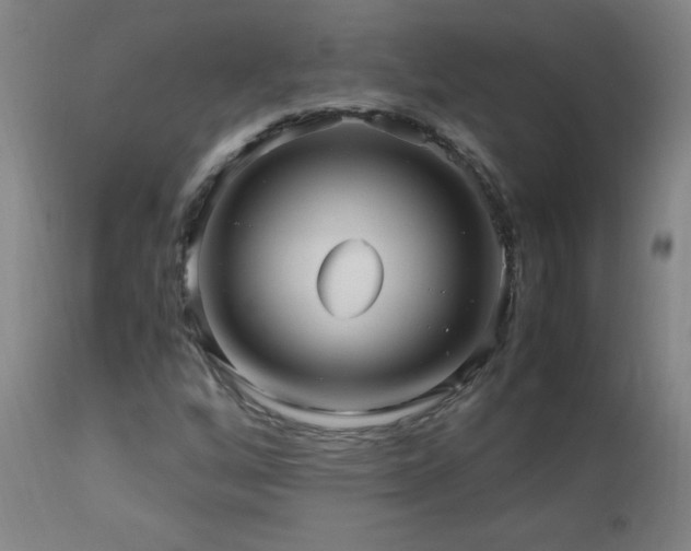 X0000112971256200908271133