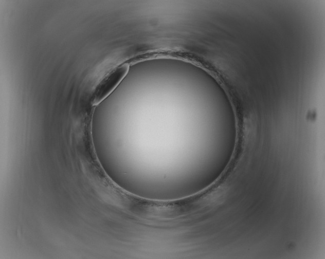 X0000112971257200908271133