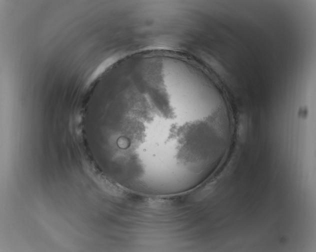 X0000112971258200908271133
