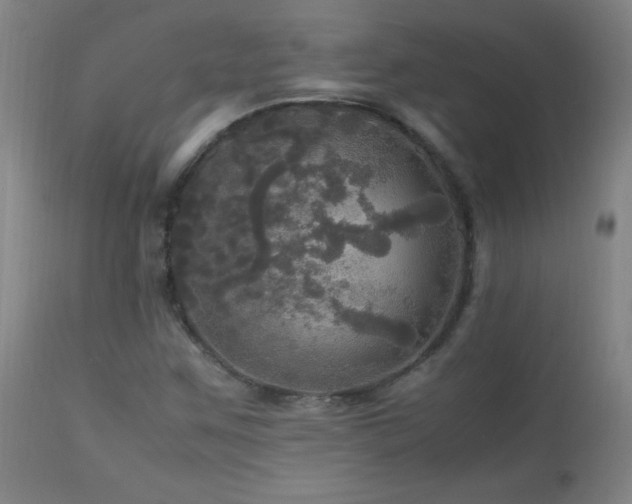 X0000112971259200908271133