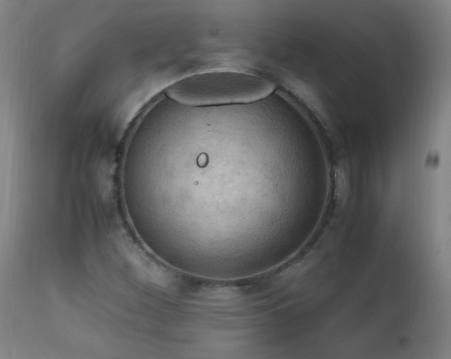X0000112971260200908271133