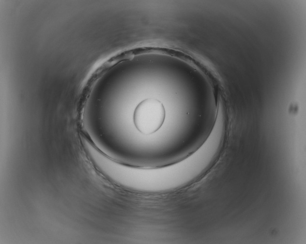 X0000112971264200908271133