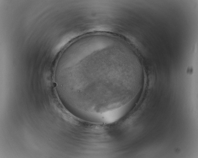X0000112971266200908271133