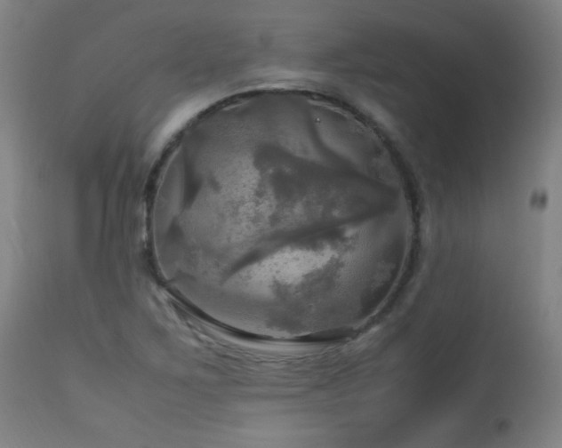 X0000112971267200908271133