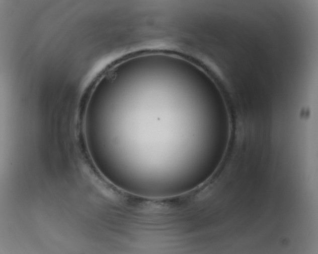 X0000112971270200908271133