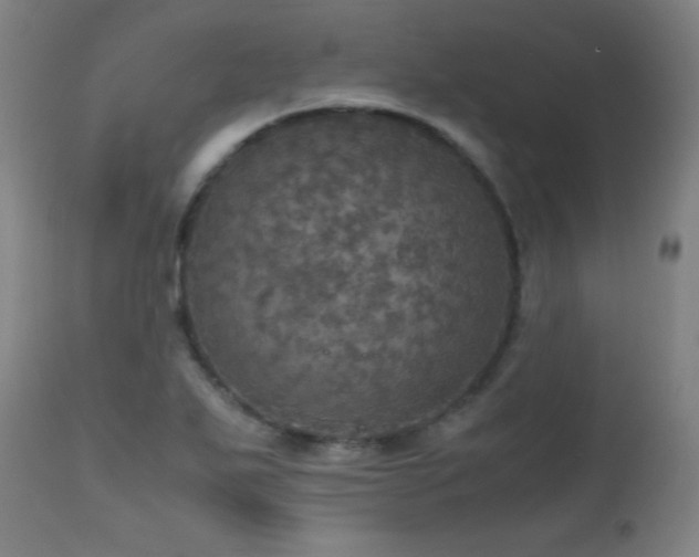 X0000112971271200908271133