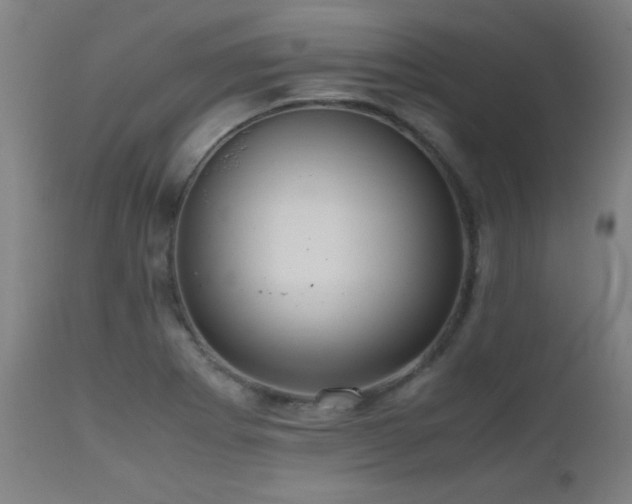 X0000112971273200908271133