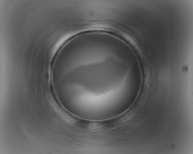 X0000112971275200908271133