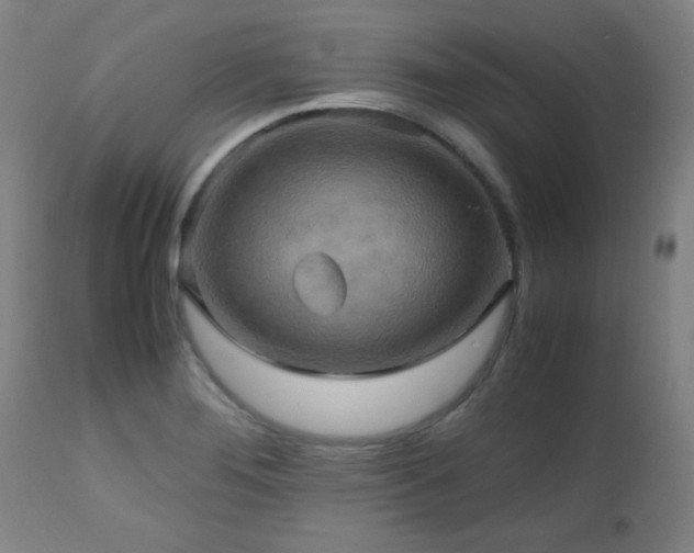 X0000112971276200908271133