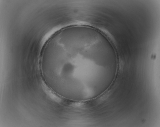 X0000112971278200908271132