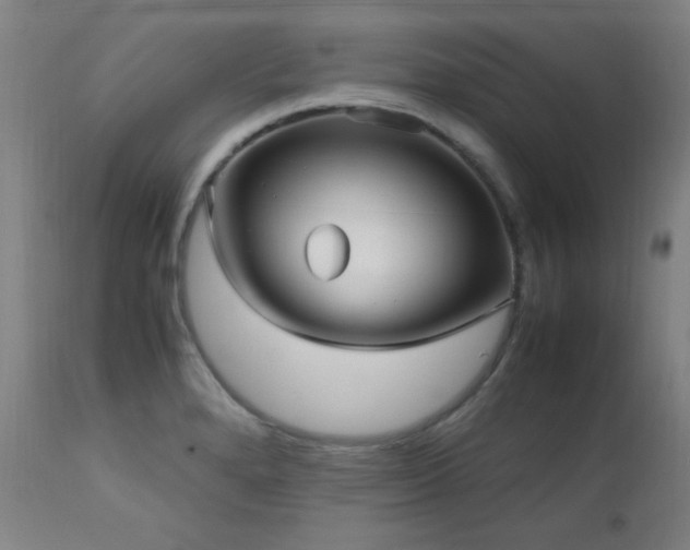 X0000112971280200908271132