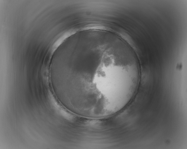 X0000112971282200908271132