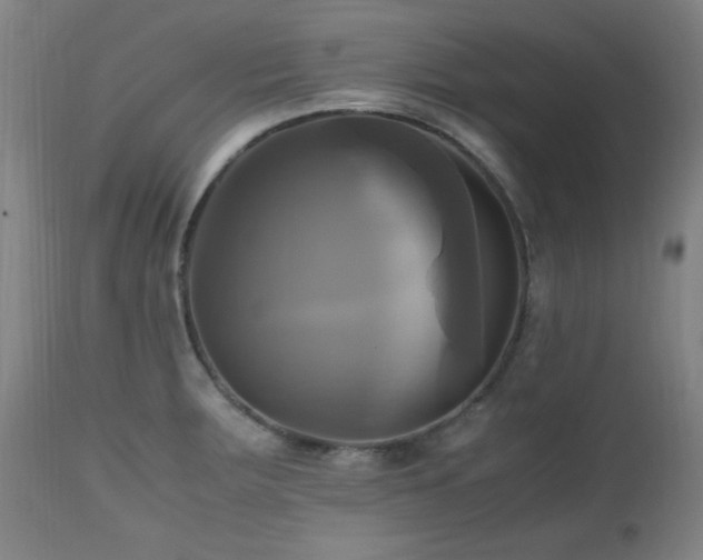X0000112971283200908271132