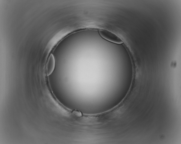 X0000112971285200908271132
