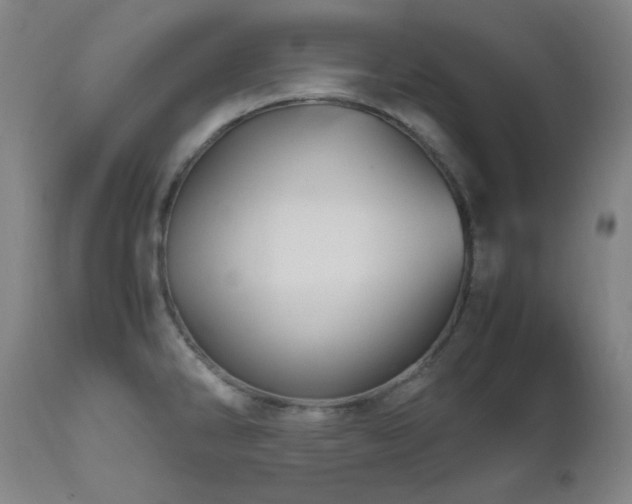 X0000112971286200908271132