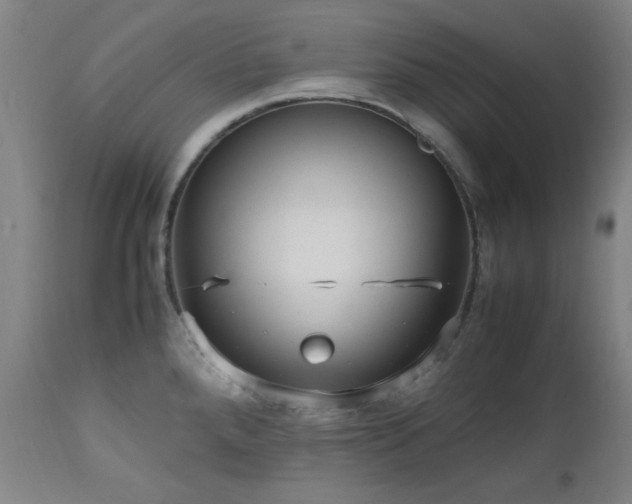 X0000112971288200908271132