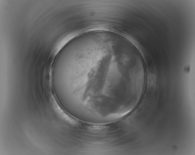 X0000112971290200908271132