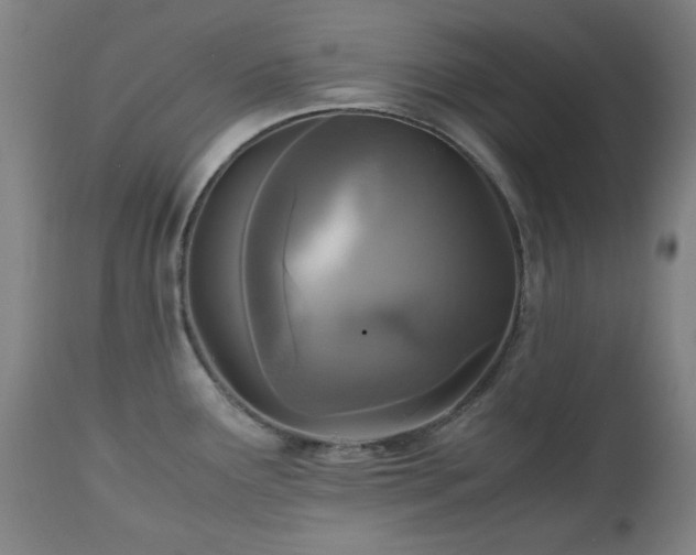 X0000112971291200908271132