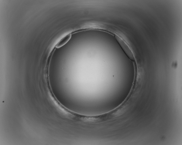 X0000112971293200908271132