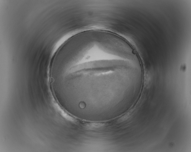 X0000112971294200908271132