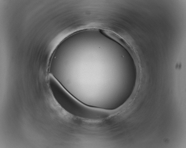 X0000112971296200908271132