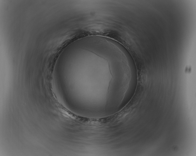 X0000112971297200908271131