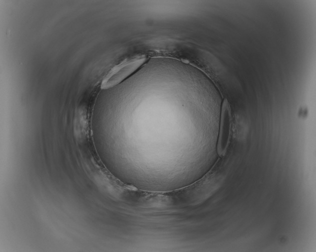X0000112971298200908271131