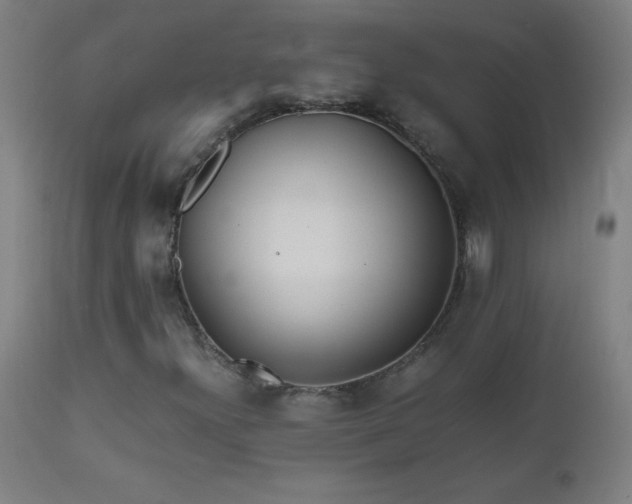 X0000112971300200908271131