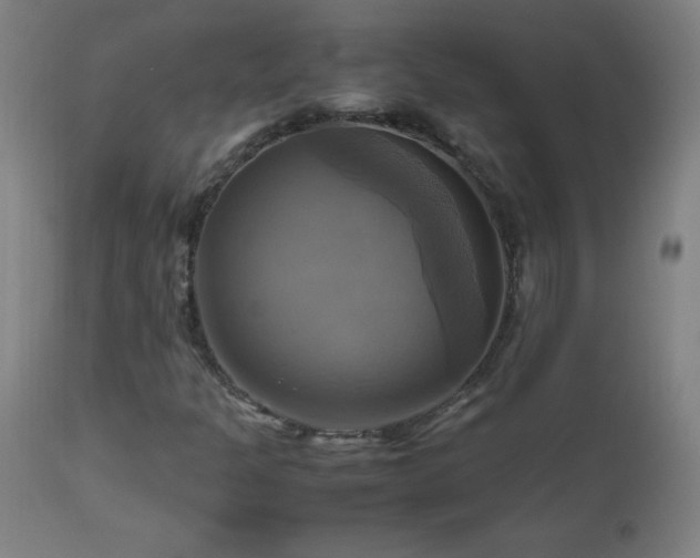 X0000112971301200908271131