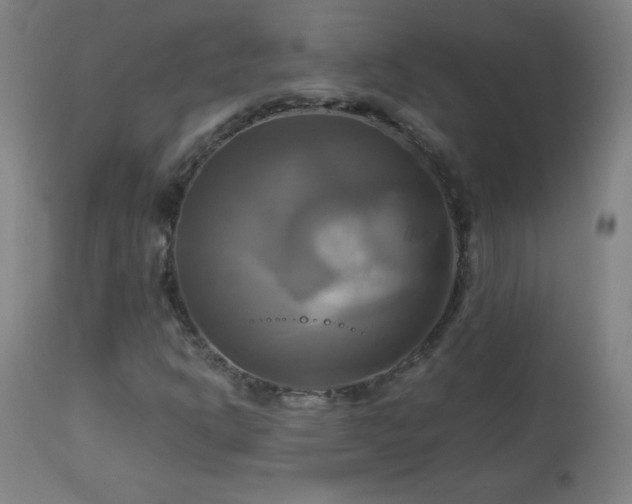 X0000112971302200908271131
